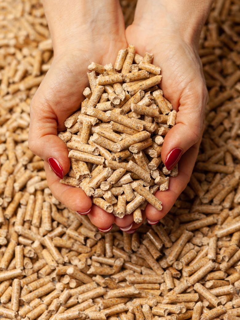 Wood Pellet Biomass 4 (780 x 1040 piksel)